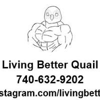 Living Better Quail logo