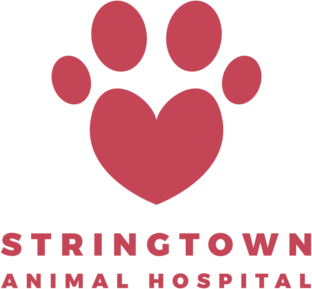 Stringtown Animal Hospital logo