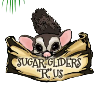 Sugar Gliders R US logo